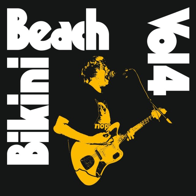 bikinibeachvol4cover